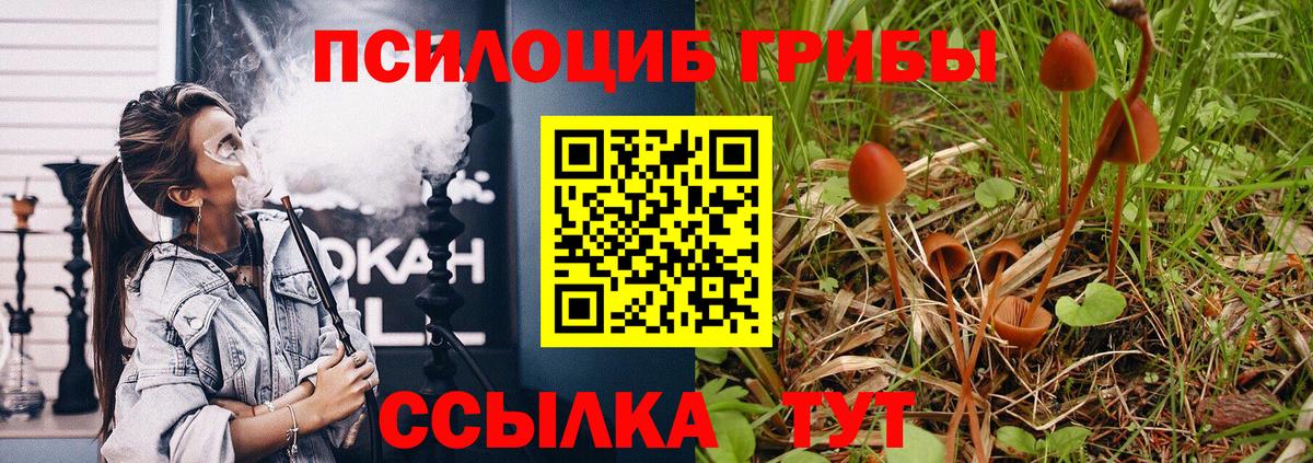 Псилоцибиновые грибы Magic Shrooms  Галлюциногенные грибы Psilocybine cubensis  Вход с VPN  Кингисепп 